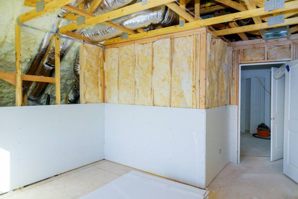 Best Home Insulation Services  in Cicero, IN